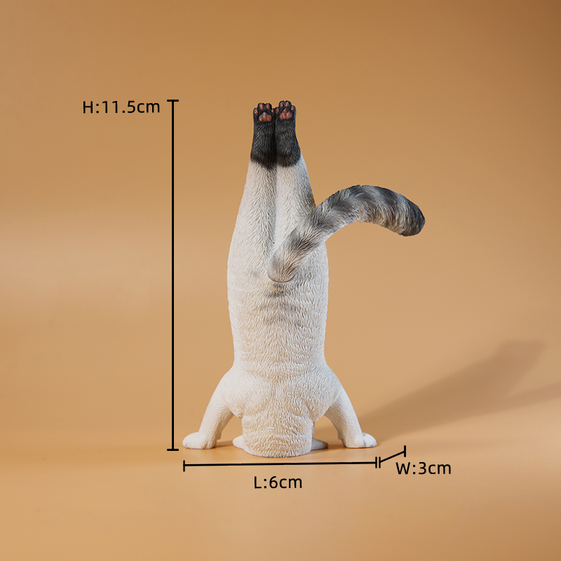 1/6 Scale Mini Simulated Fitne - Yoga In Fitness First recensione e prezzo