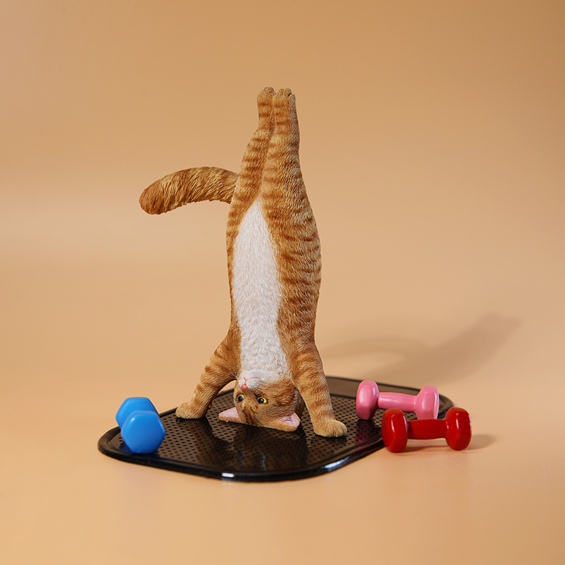1/6 Scale Mini Simulated Fitne - Yoga In Fitness First recensione e prezzo