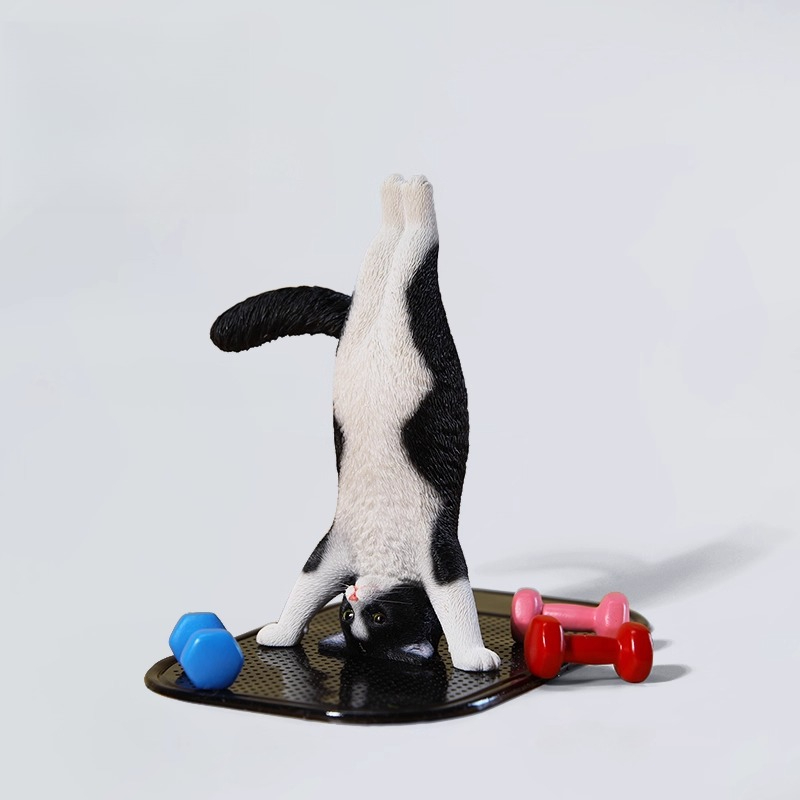 1/6 Scale Mini Simulated Fitne - Yoga In Fitness First recensione e prezzo